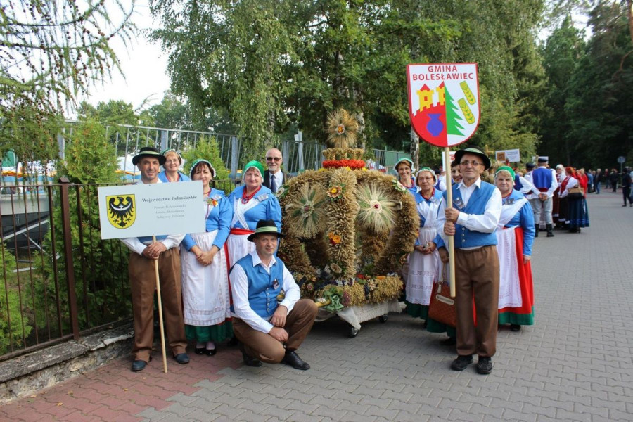 wieniec żeliszów pierwsza dama