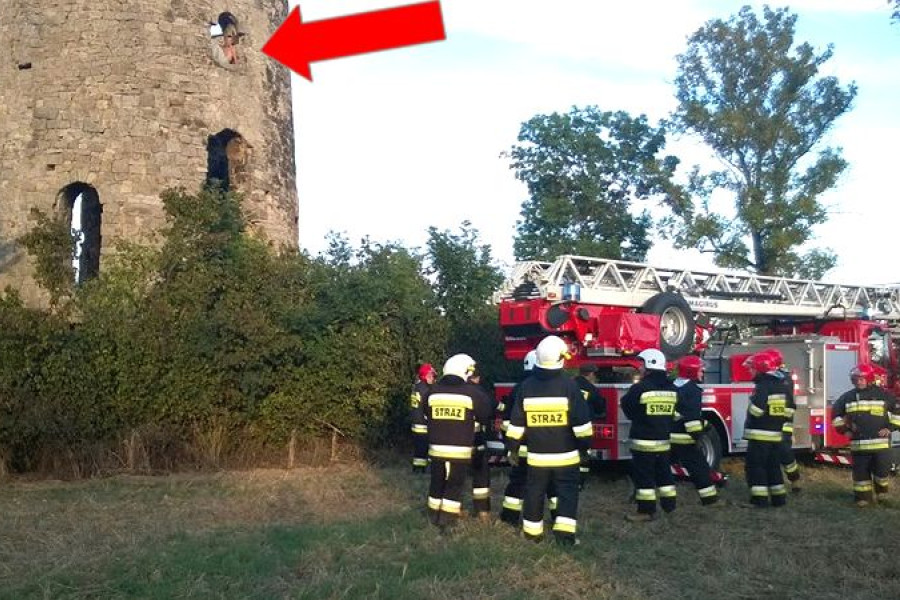 wapiennik raciborowice warta bolesławiecka