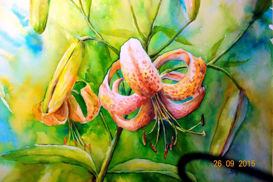 Akwarela Krystyny Raszki