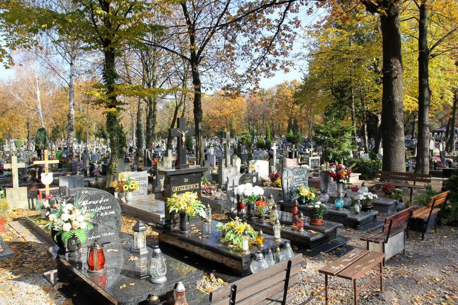 cmentarz