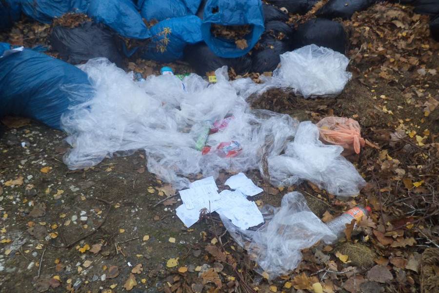 Śmieci Lasek Złotoryjski