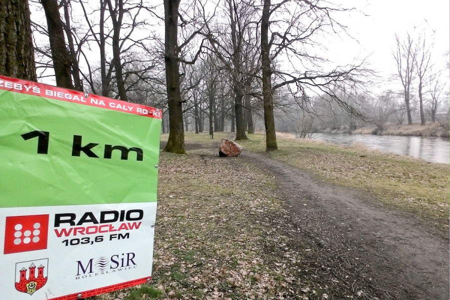 ścieżka bóbr logo