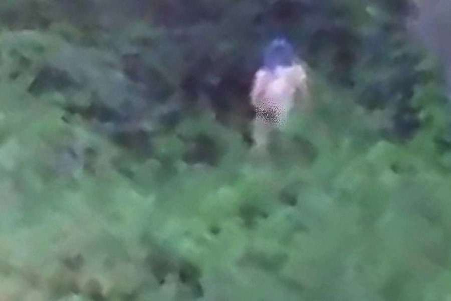 golas mężczyzna bóbr