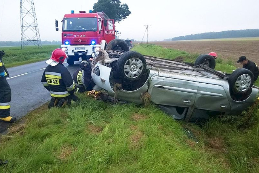 dachowanie warta bolesławiecka