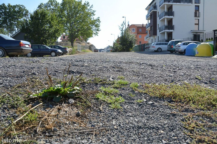 żołnierzy wyklętych