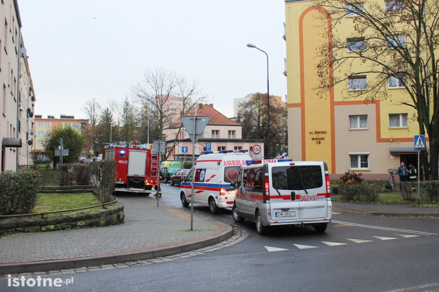 zatrucie żwirki i wigury