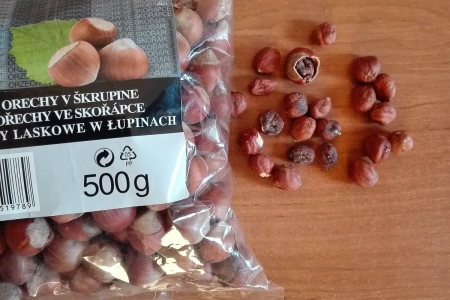 orzech