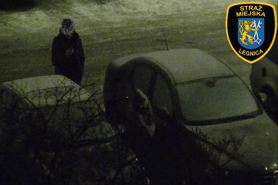 samochód mężczyzna