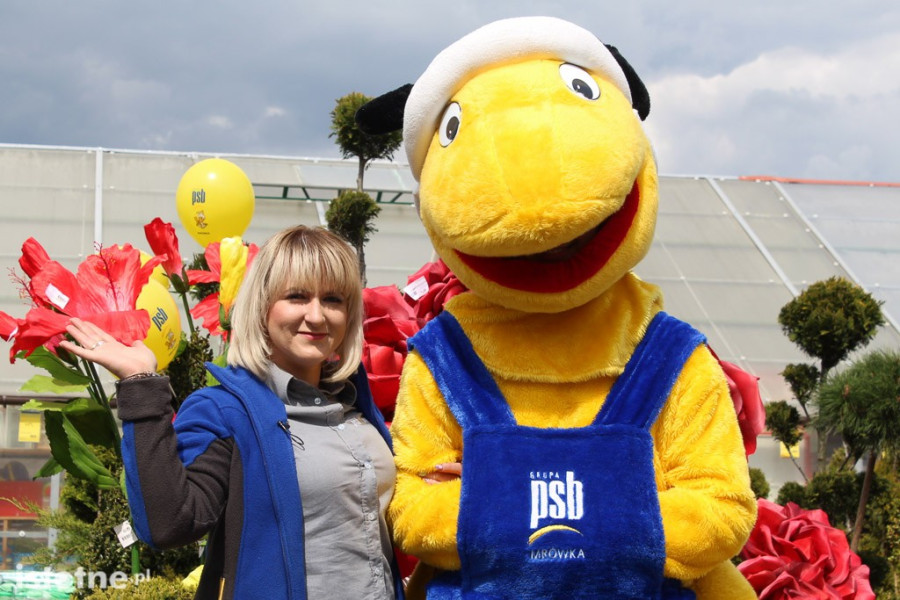 mrówka psb  urodziny