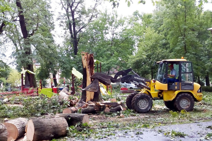 nawałnica  park miejski