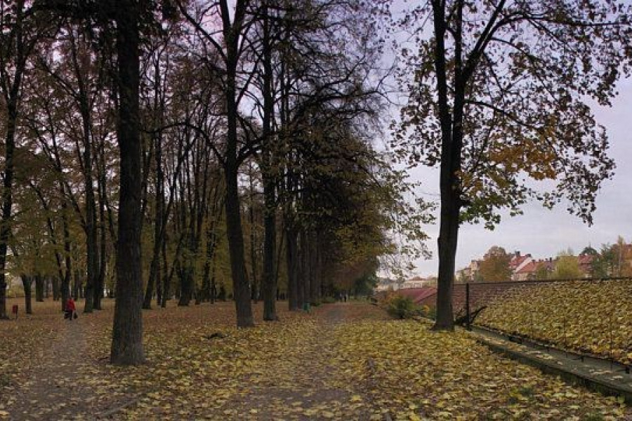 stary cmentarz ewangelicki