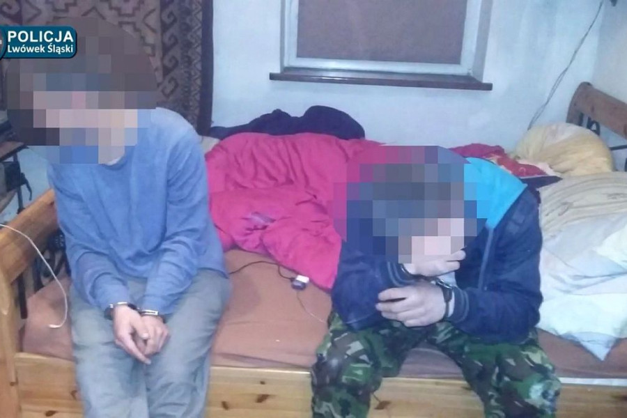 zatrzymanie  policja  lwówek śląski