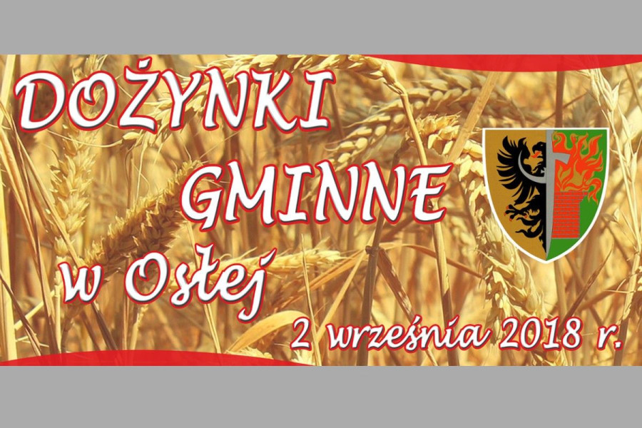 dożynki plakat osła
