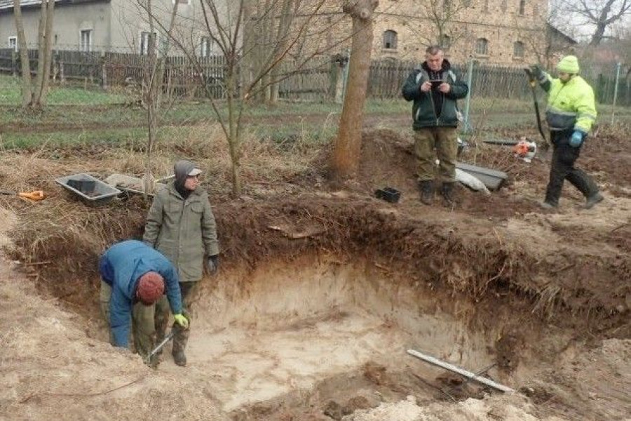 ekshumacja wierzbowa