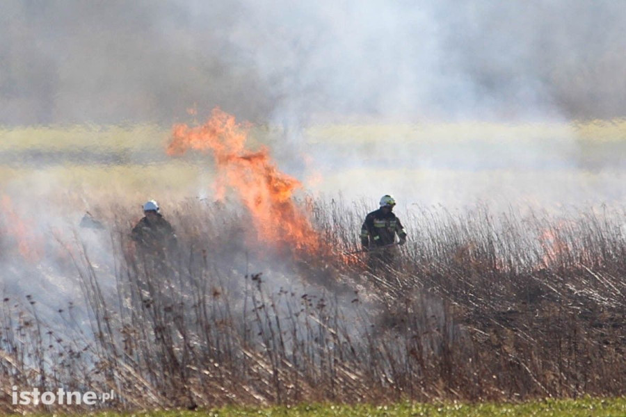 pożar łaziska