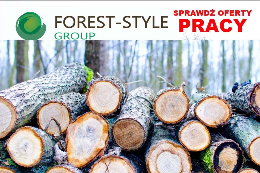 forest style praca
