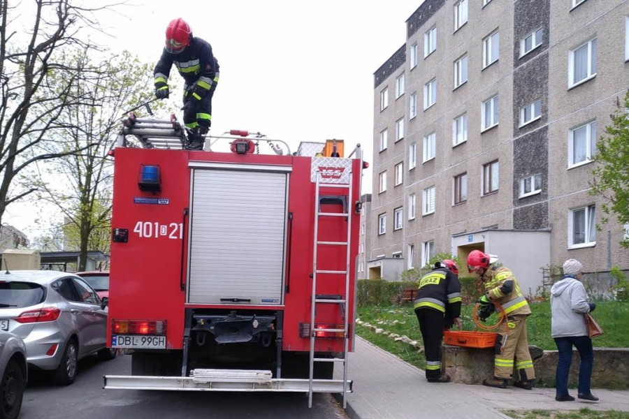 akcja służby kleeberga