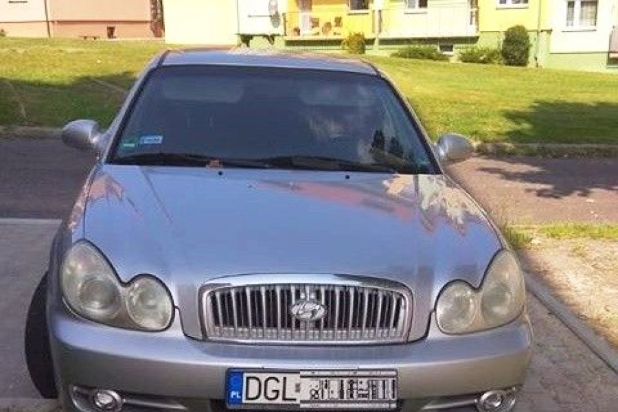 auto napad gryfów śląski