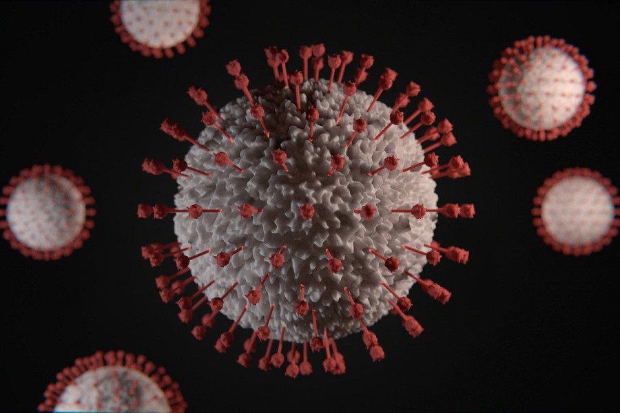 koronawirus