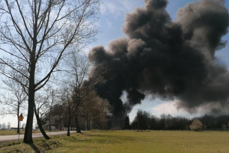 pożar gryfów odpady