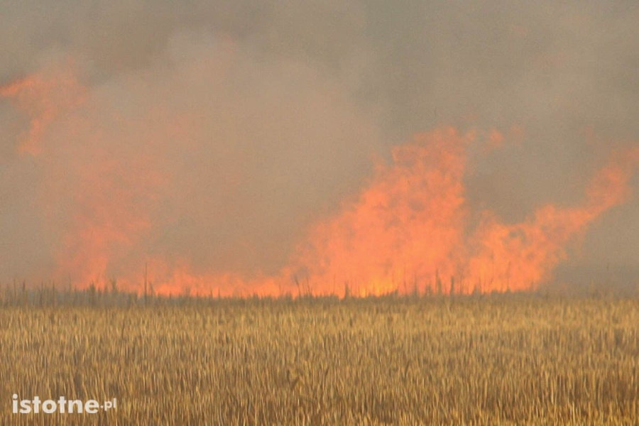 pożar pole
