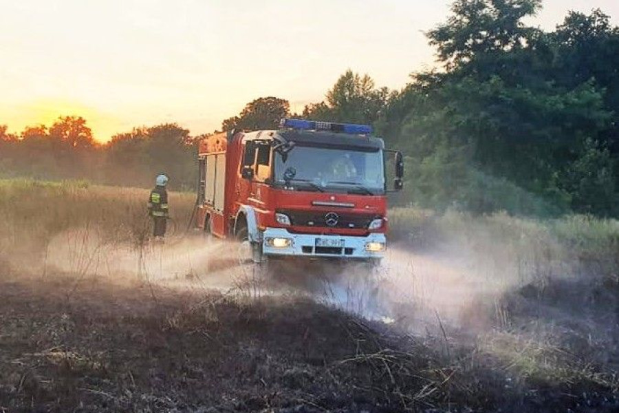 pożar łąka nieużytki