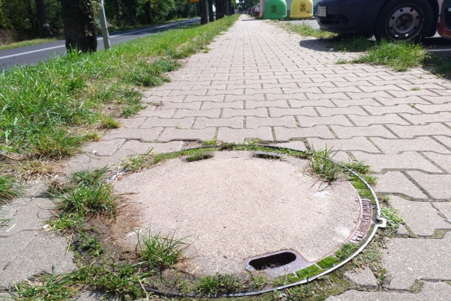 właz kanalizacja fetor