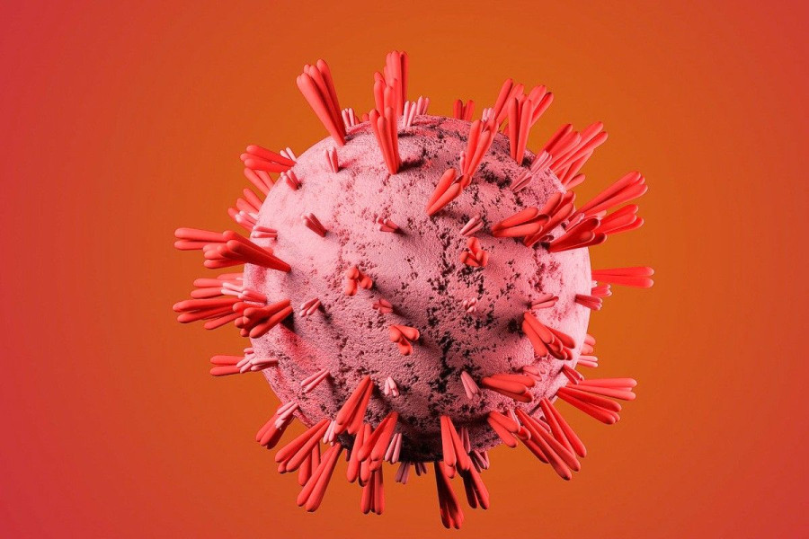 koronawirus
