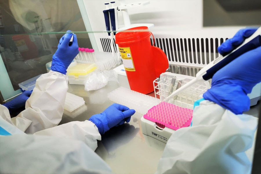 laboratorium szpital