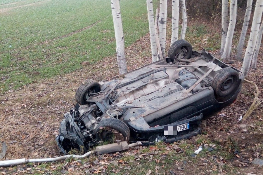 auto dachowanie lubków