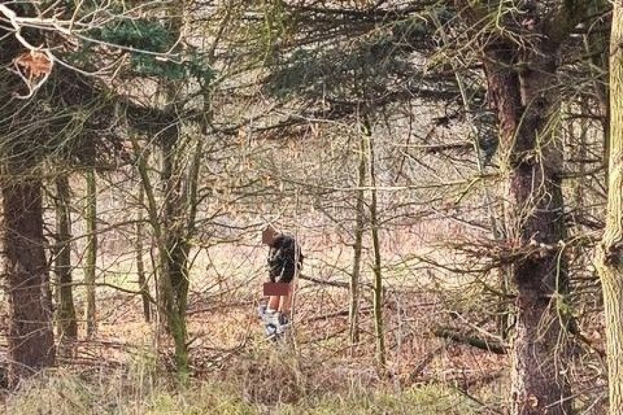 golas bóbr zgorzelecka