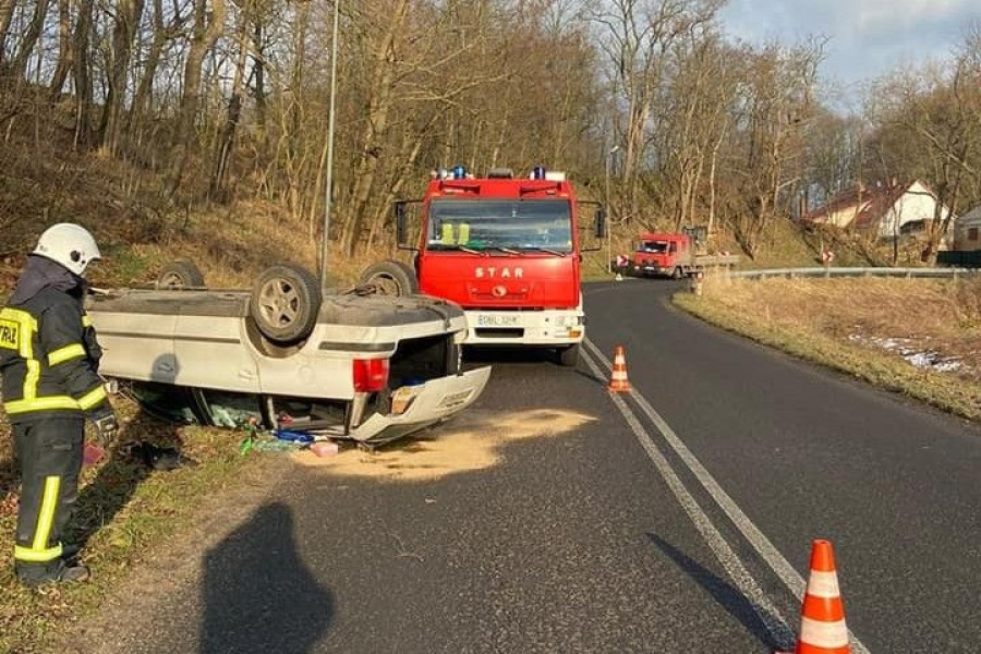 dachowanie nowogrodziec