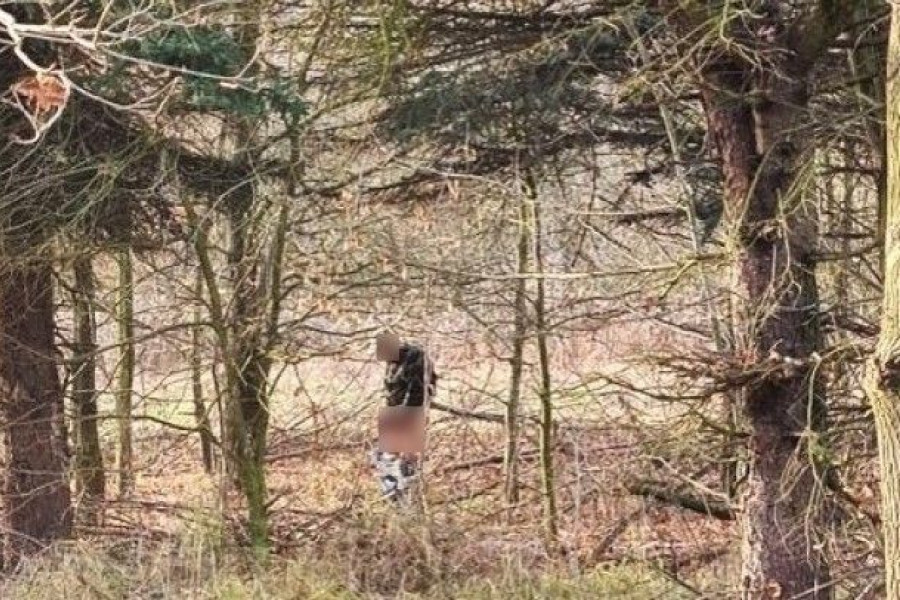 mężczyzna bóbr krzaki