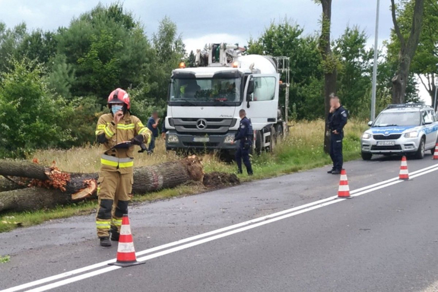 samochód drzewo betoniarka