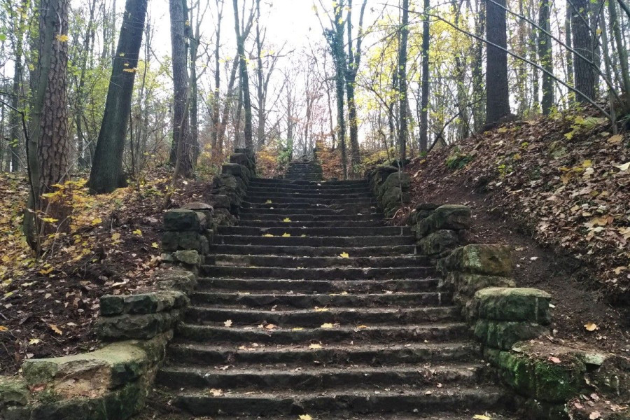 schody jeleniogórska las