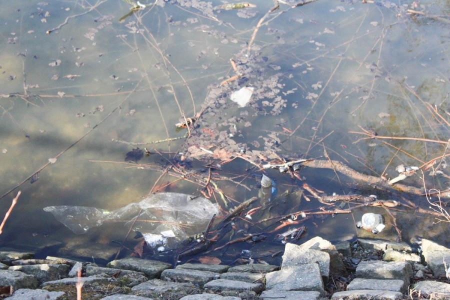 śmieci staw miejski