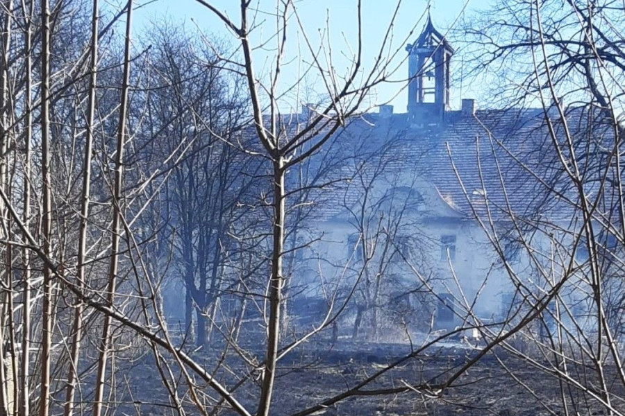 trawa pożar tomaszów bolesławiecki