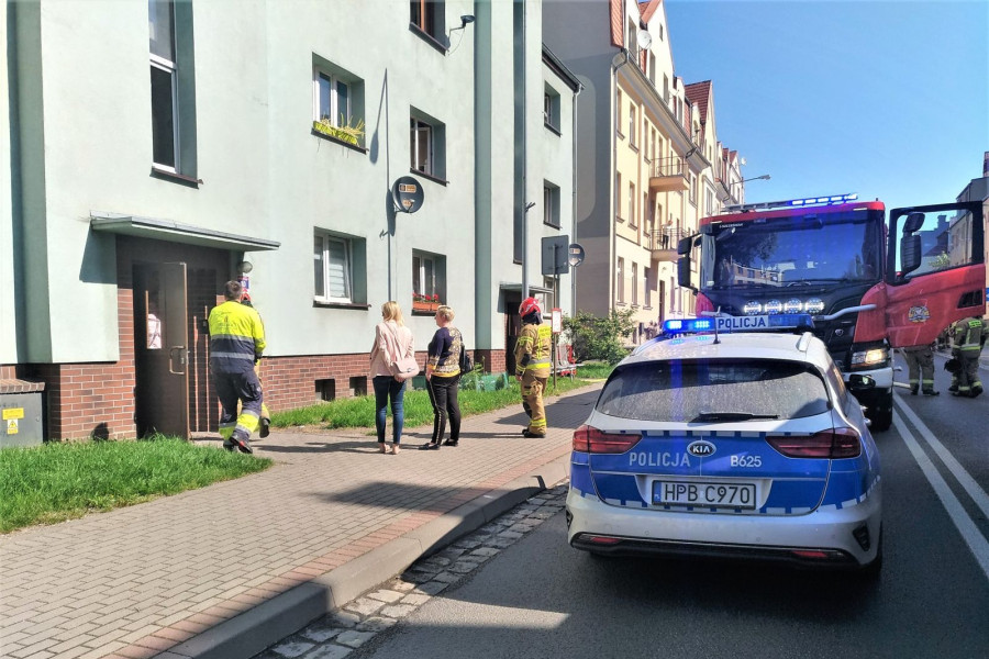 pożar żwirki i wigury