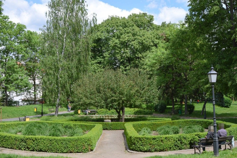 skwer stefanii tajcher