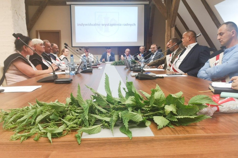 Rada Miejska Nowogrodziec