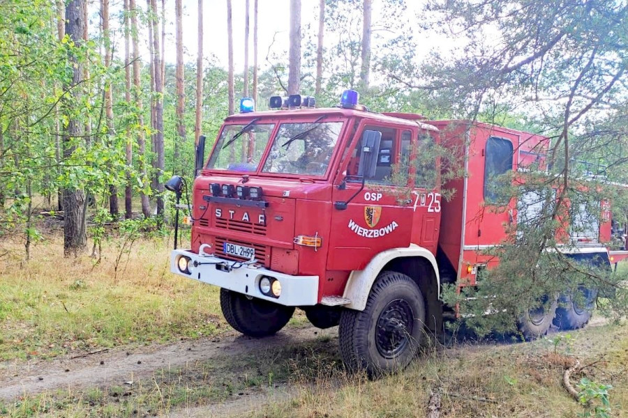 pożar las wierzbowa