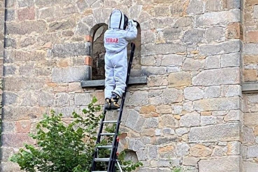 strażak drabina