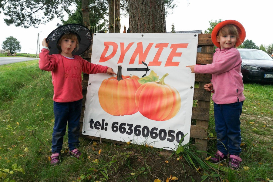 dzieci bliźniaczki baner