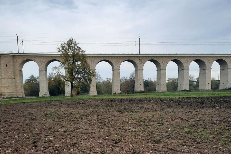 wiadukt kwitnąca łąka inwestycja
