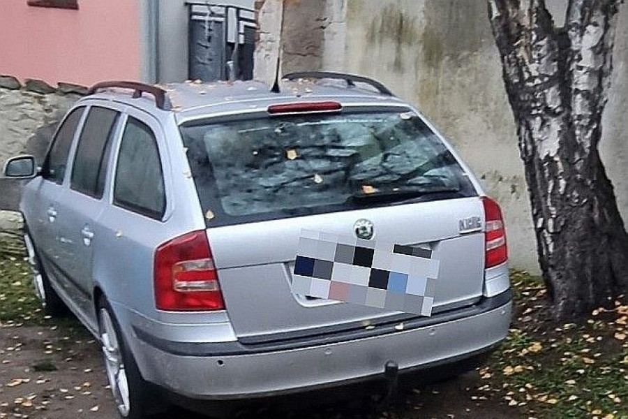 teren zielony auto parkowanie