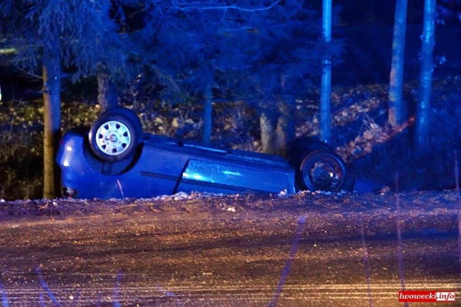 dachowanie seat wleń