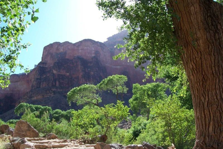 pejzaż wielki kanion