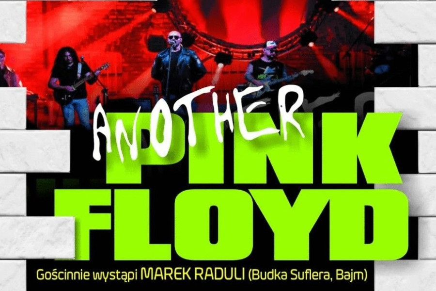 another pink floyd marek raduli