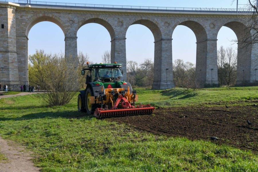 wysiew kwiaty kwietne łąki