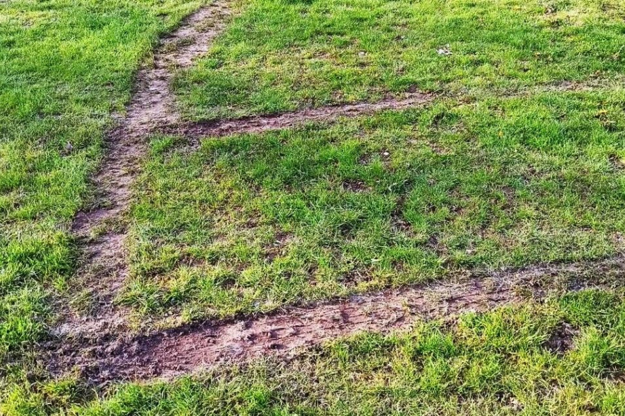 boisko kolonia bolesławiec